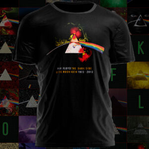 Polera Pink Floyd The Dark Side Of The Moon IV