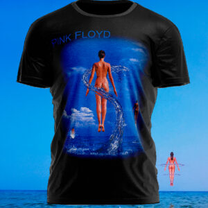 Polera Pink Floyd Shine On (Box Set)