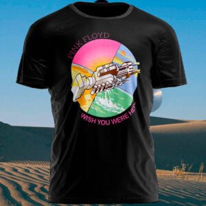 Polera Pink Floyd Wish You Were Here II